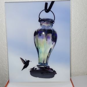 Original Hummingbird Photo on Air Glass